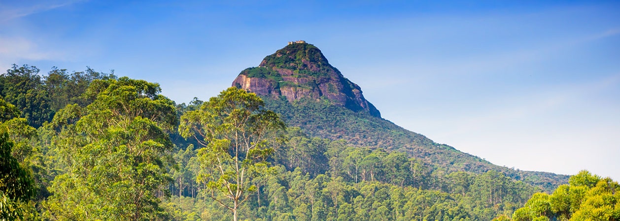 columbus tours sri lanka