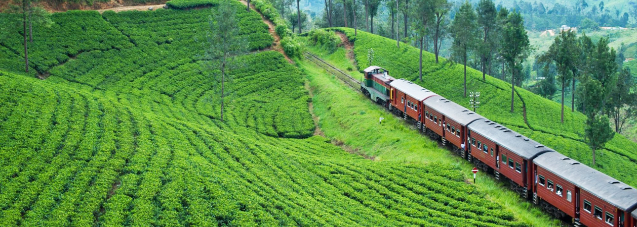 columbus tours sri lanka