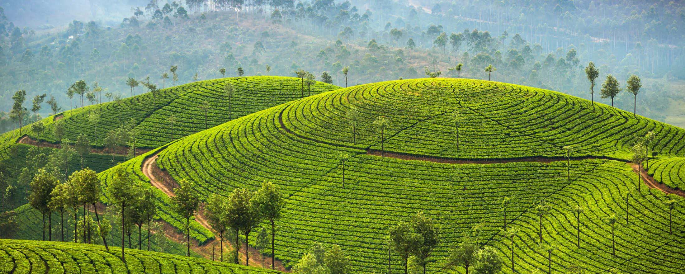 columbus tours sri lanka