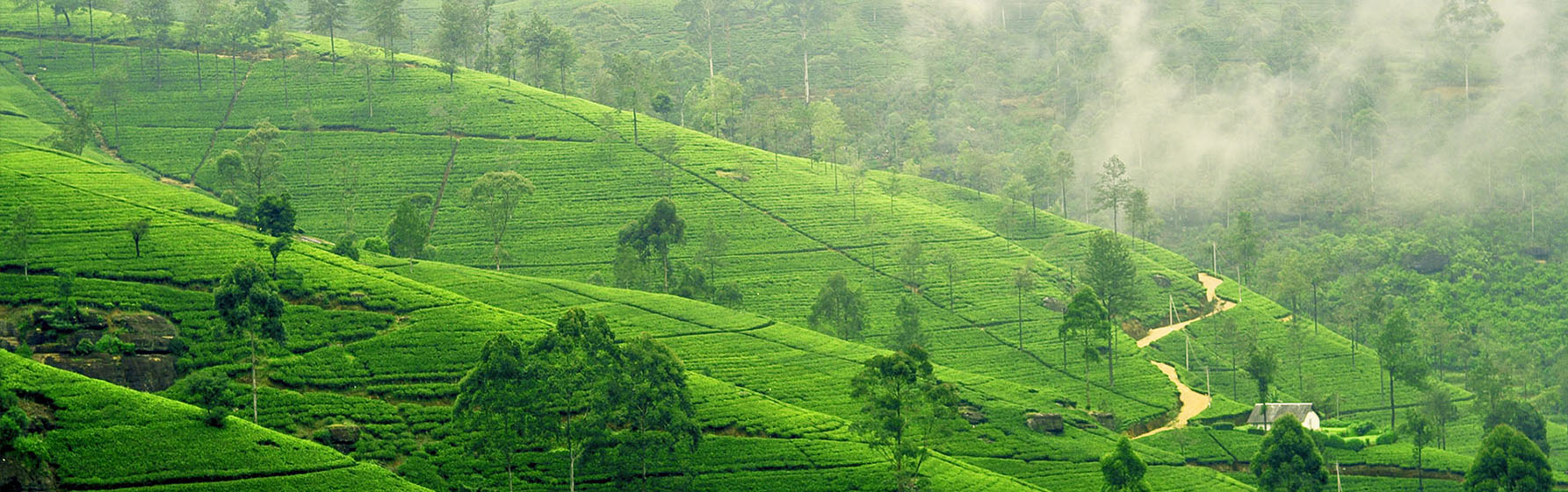 columbus tours sri lanka